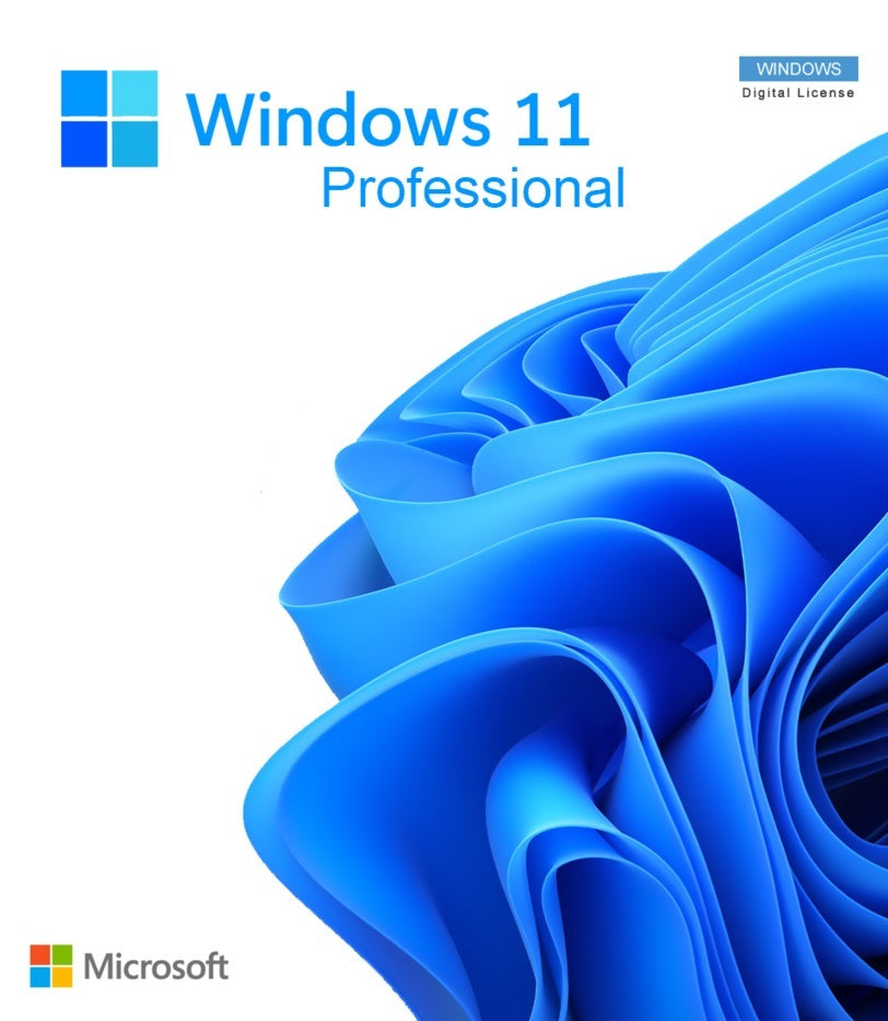 Microsoft Windows 11 Professional
